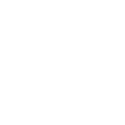 Github Logo